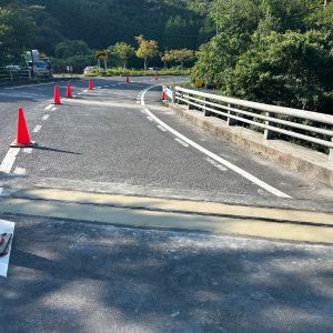 棟梁補修工事